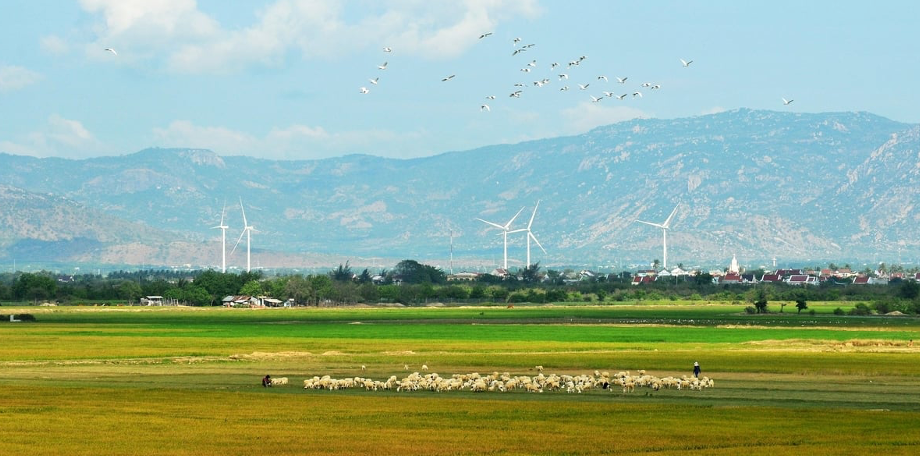 Ministry of Agriculture and Environment Implements Climate Change Adaptation Plan 